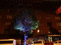 Праздничная подсветка, дерево, отель «Выборг», г.Выборг. Светопроба.